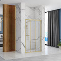 Sprchové dvere Rea Alex 100 Gold Brush  1