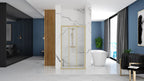 Sprchové dvere Rea Alex 120 Gold Brush  4