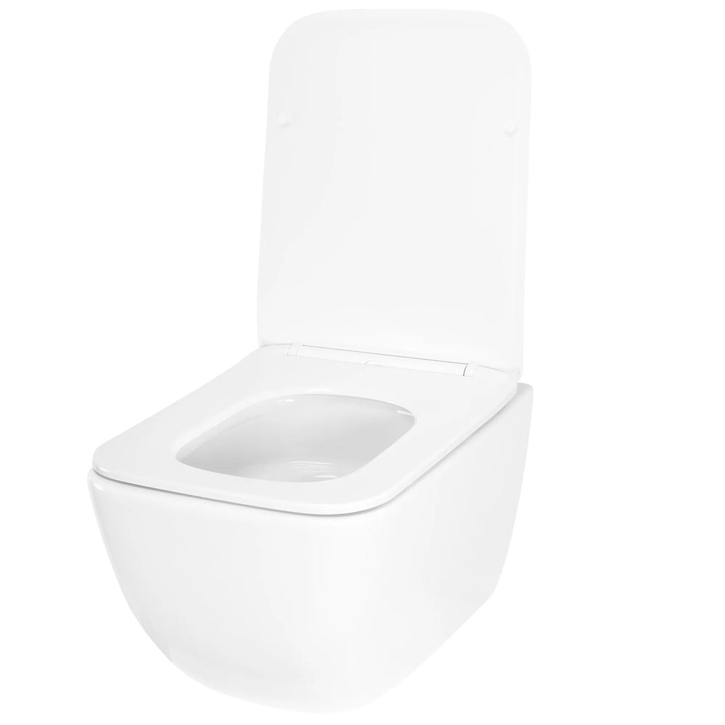 WC misa bez splachovacieho okruhu REA Dexter Tornado  5